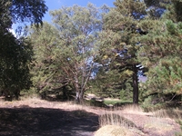 rrente Quarantore-20110911 106